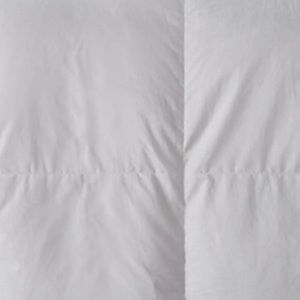 Charter Club bedding comforter down comforter